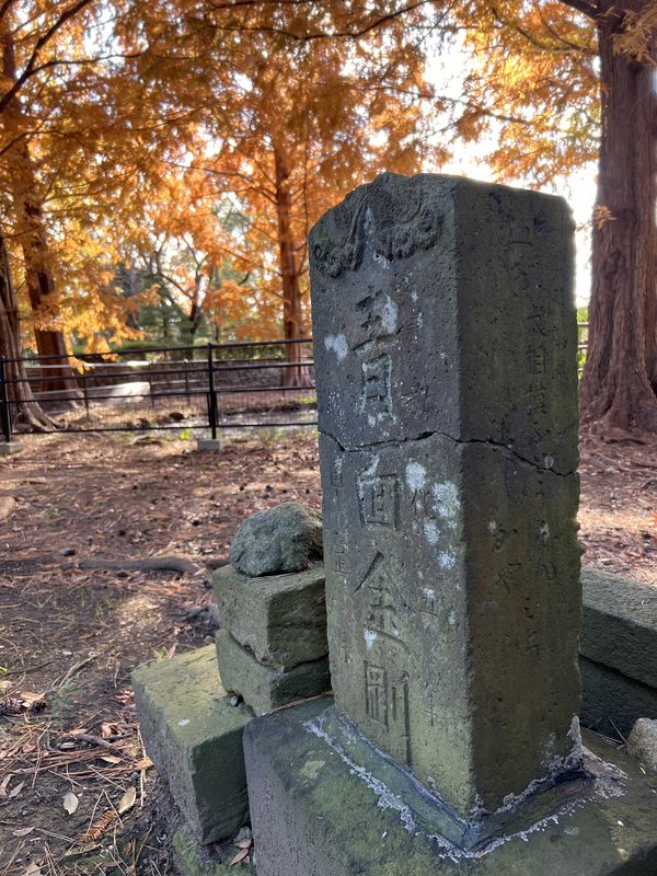 紅葉と文字庚申塔｜越谷市新川町の中新田稲荷神社