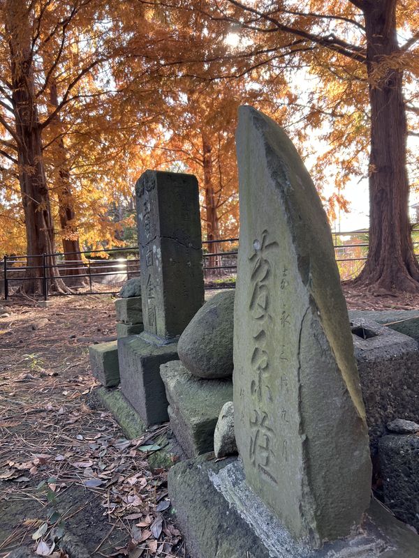 紅葉と石塔｜越谷市新川町の越巻稲荷神社